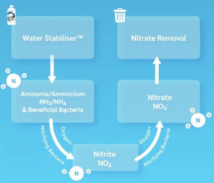Are nitrates toxic?
