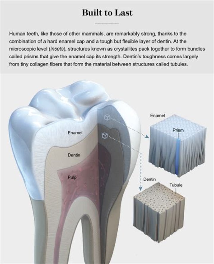 How do you deaden a nerve in your tooth?