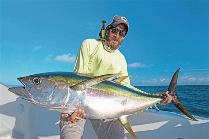 Is big eye tuna good eating?