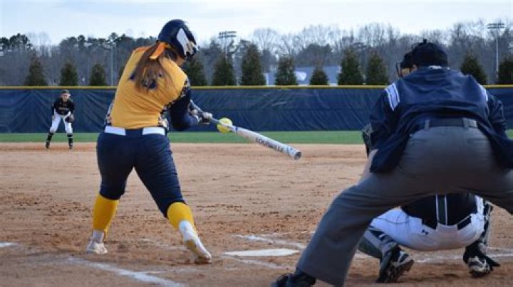 Should I use an end-loaded bat?