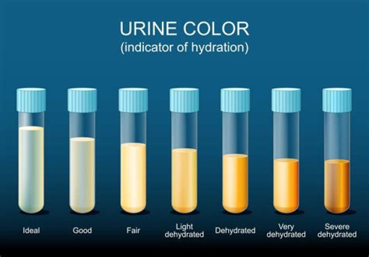 Why is my urine crystal clear?